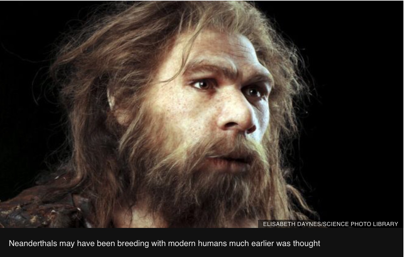 Homo neanderthalensis. Неандерталец (homo sapiens Neanderthalensis).